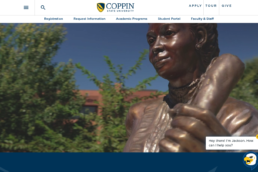 Coppin State University Website Review Home Page screenshot